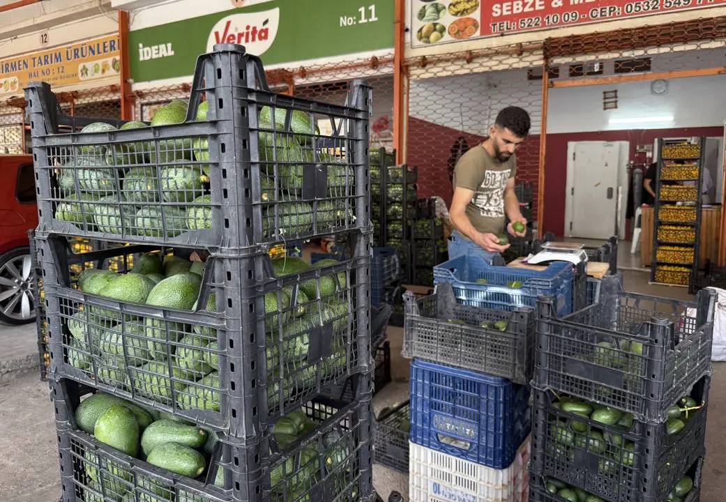 3 Bin 700 Üreticiyle Hedef 150 Milyon Adet 3